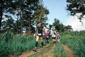 BIB: 
                            <button type="button" onclick="openModal(26038349)" class="btn btn-primary btn-sm float-right btn-popup" data-toggle="modal" data-target=".modal-high-quality">
                        <i class="fas fa-shopping-cart"></i> Add to Cart
                    </button>
                                            <button type="button" onclick="isThisMe(26038349, true)" class="btn btn-success btn-sm float-right btn-popup btn-isme hidden" data-toggle="tooltip" data-placement="bottom" title="นี่คือรูปของคุณใช่ไหม คลิกที่นี่เพื่อเอาเข้าอัลบั้ม">
                        <i class="fas fa-plus"></i> Add to album
                    </button>
                    <button type="button" onclick="isThisMe(26038349, false)" class="btn btn-warning btn-sm float-right btn-popup btn-isnotme hidden">
                        <i class="fas fa-ban"></i> Remove from album
                    </button>